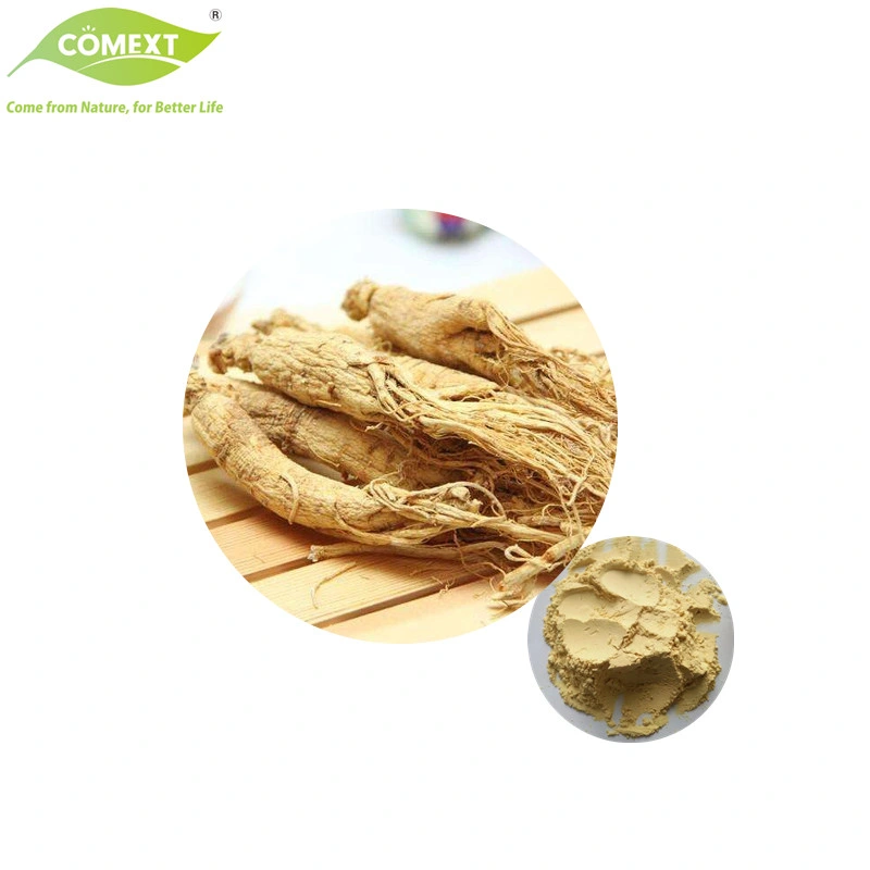Comext Wholesale Natural Customized Panax Ginseng Immunity Improved Ginseng Extract