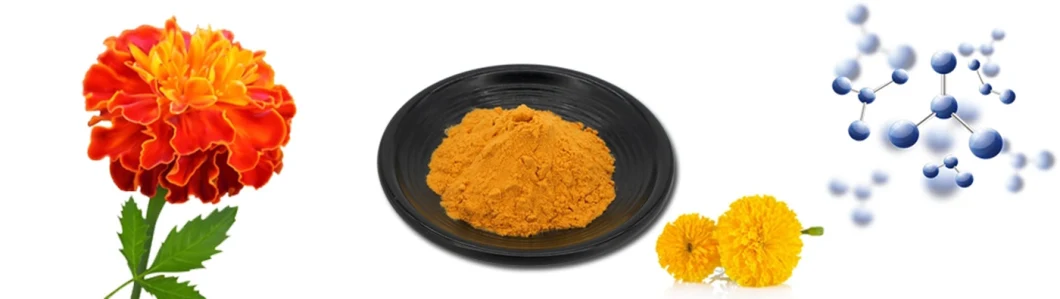 Customized Marigold Extract Lutein Esters 10% 20% 80% 60%