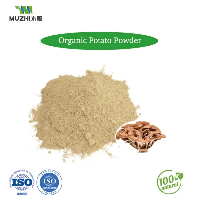 Industrial Manufacturer Direct Supply Fruit Vegetable Collagen Vanilla Powder