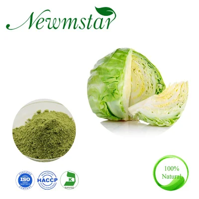 Cabbage Extract Natural Herbal Extract Vegetable Fruit Extract Powder